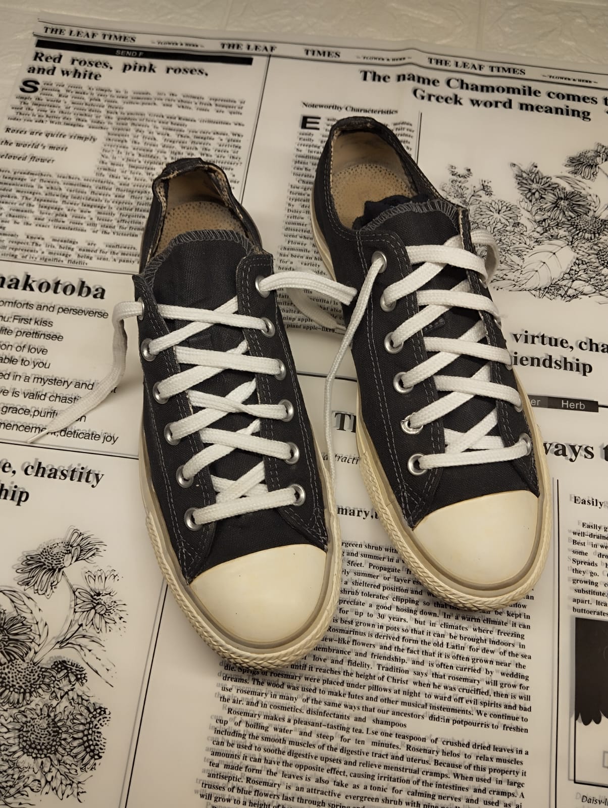 Black and grey low rise converse