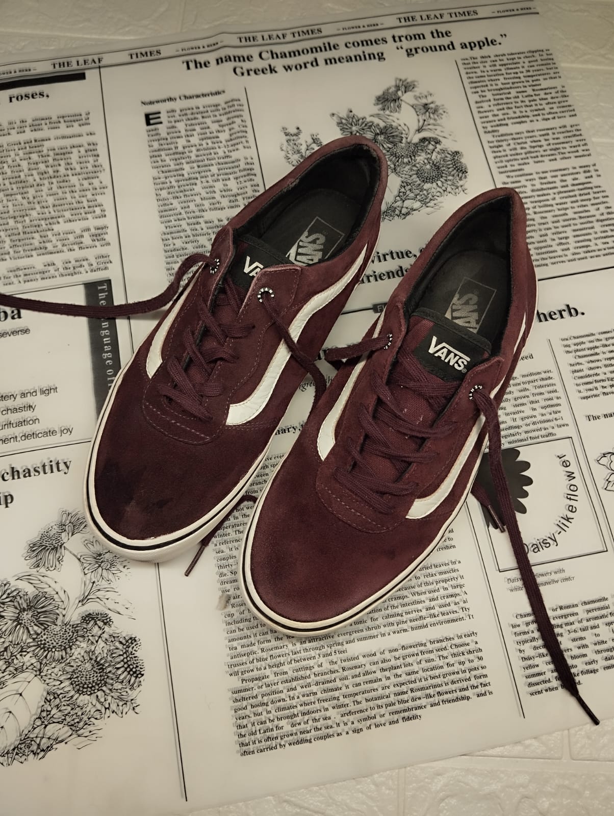 Magenta low rise vans