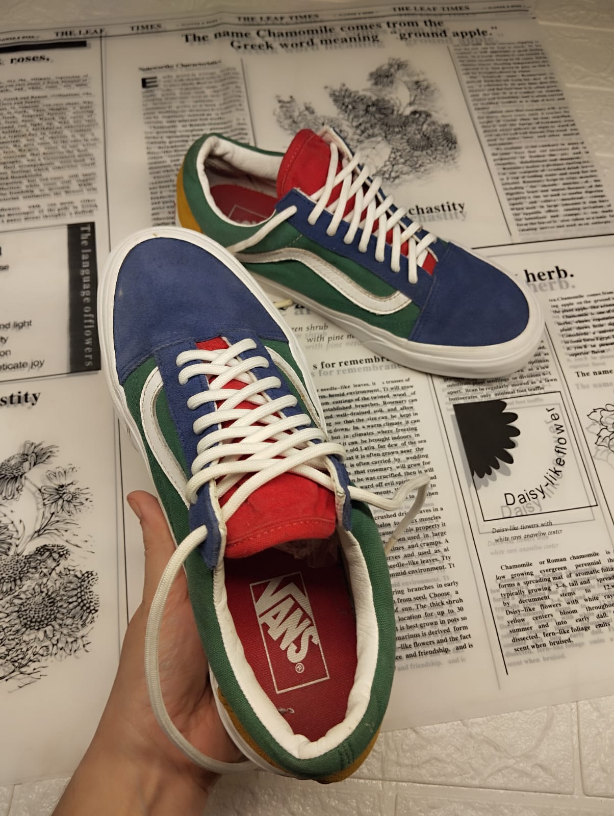 Colorful low rise vans