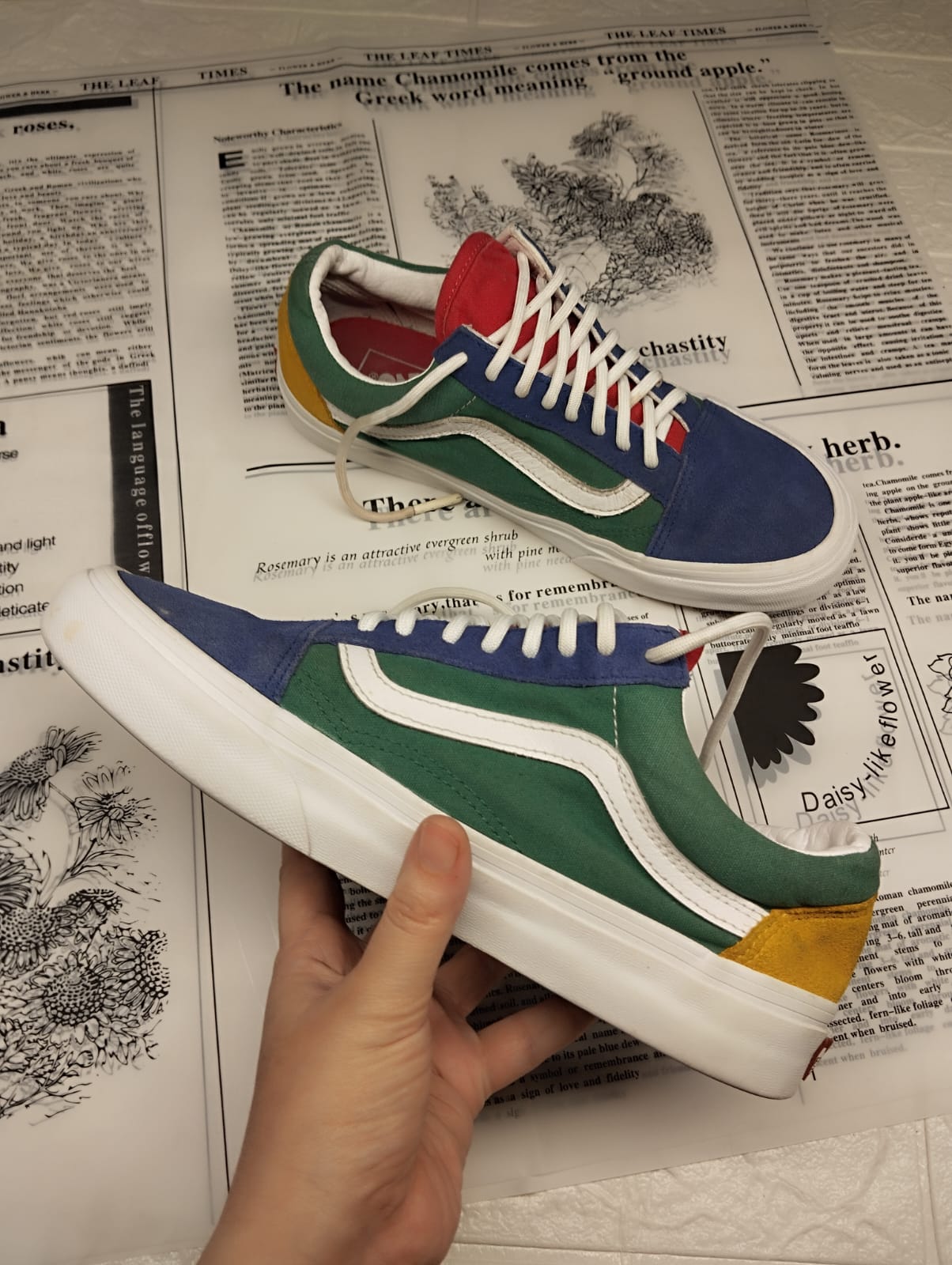 Colorful low rise vans