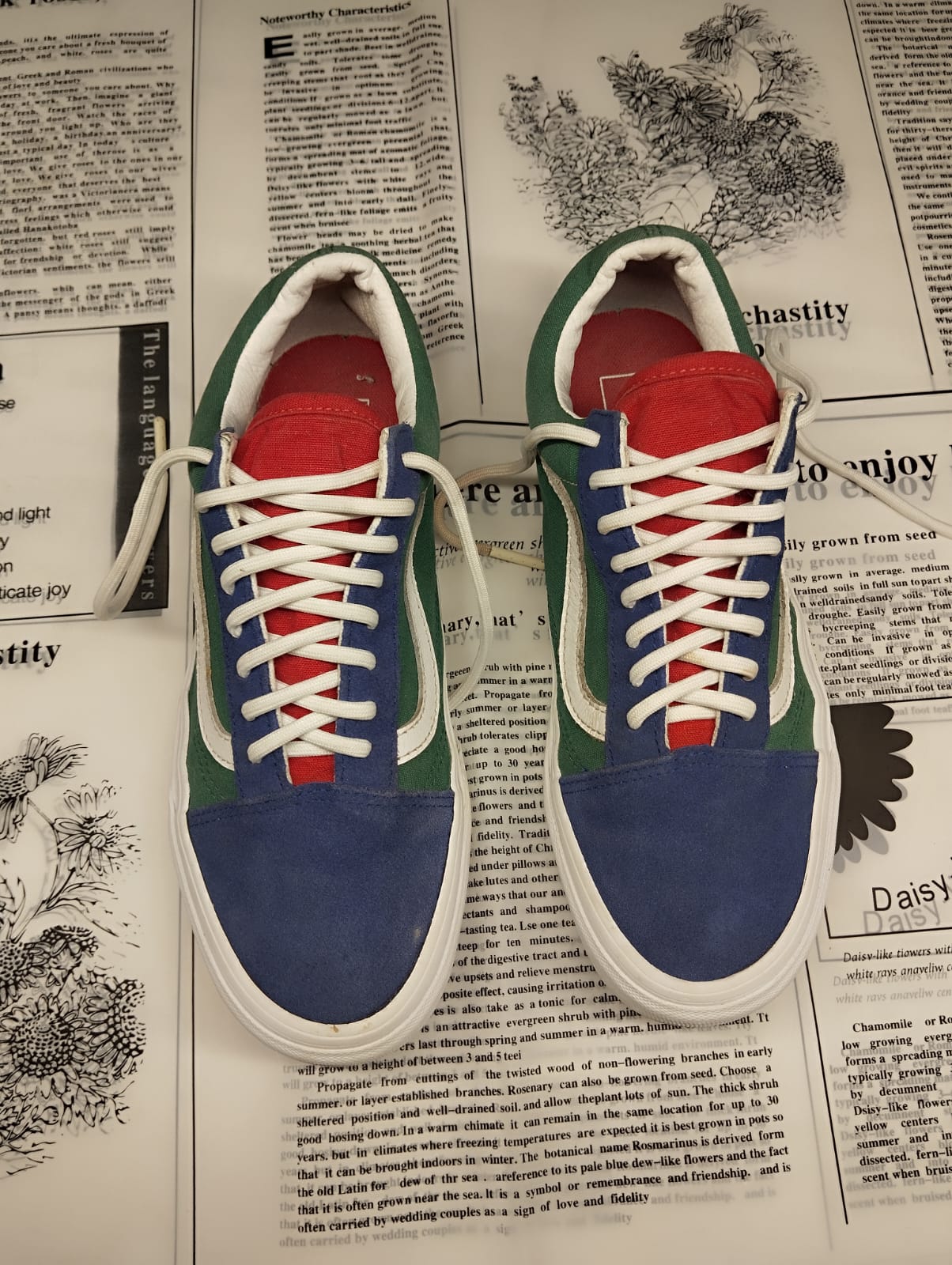 Colorful low rise vans