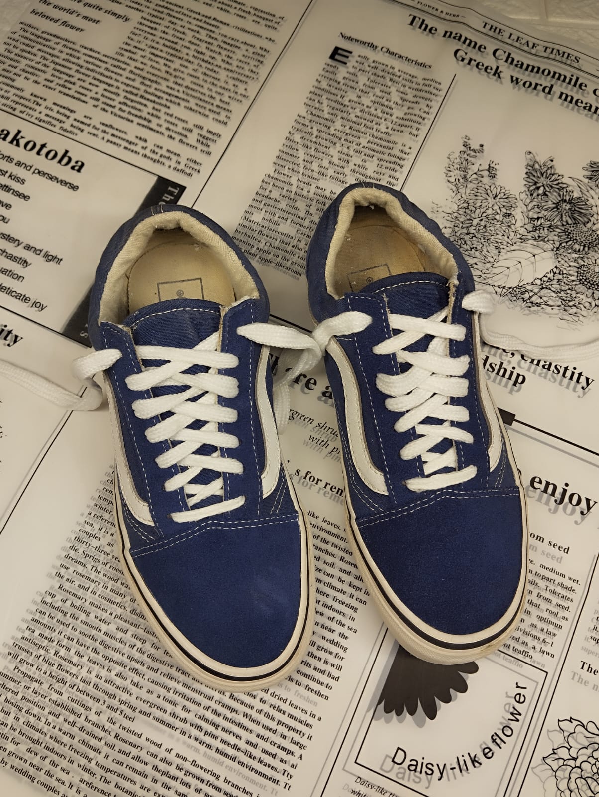 Blue low rise vans