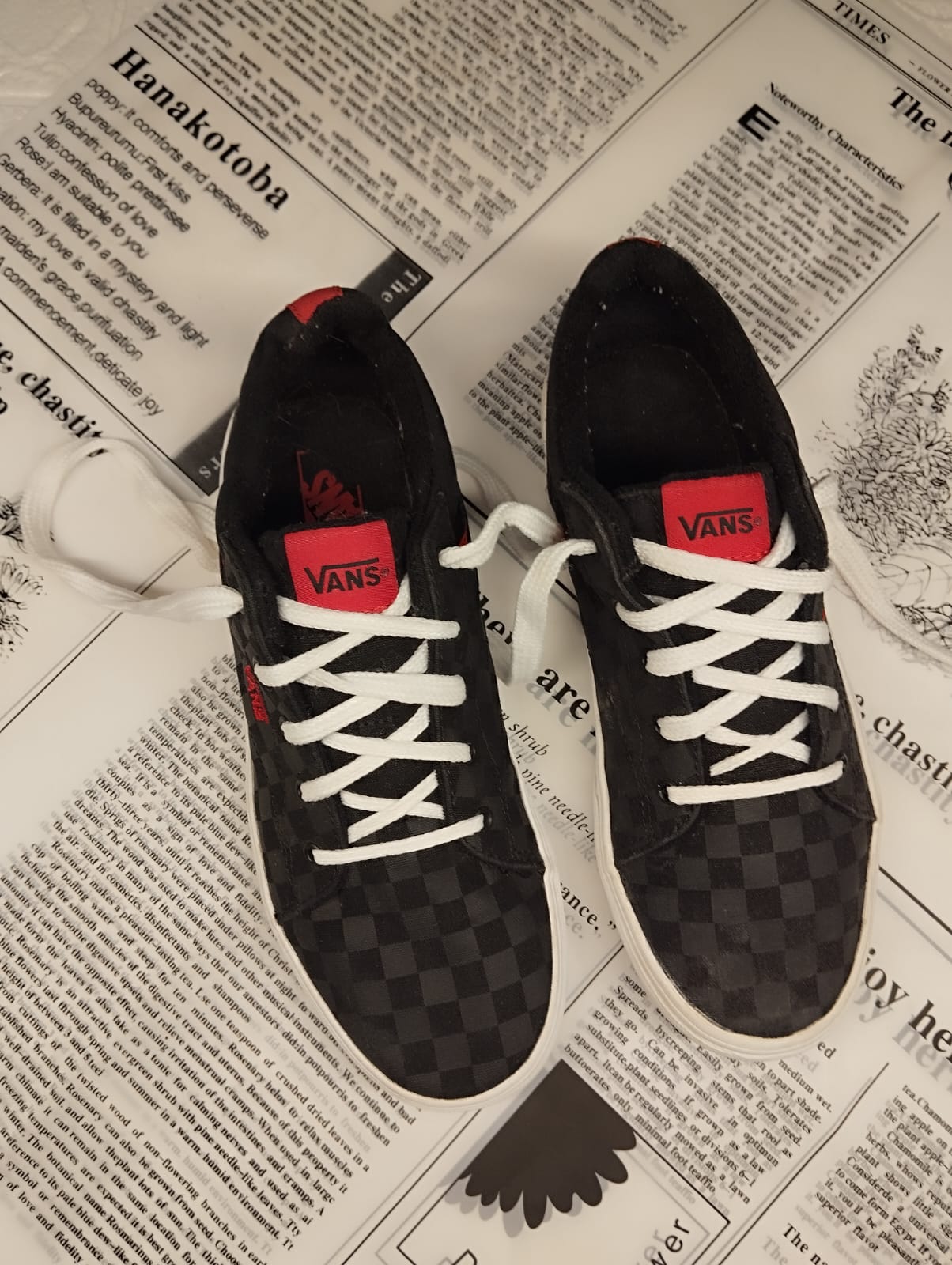 Black and red checkered low rise vans