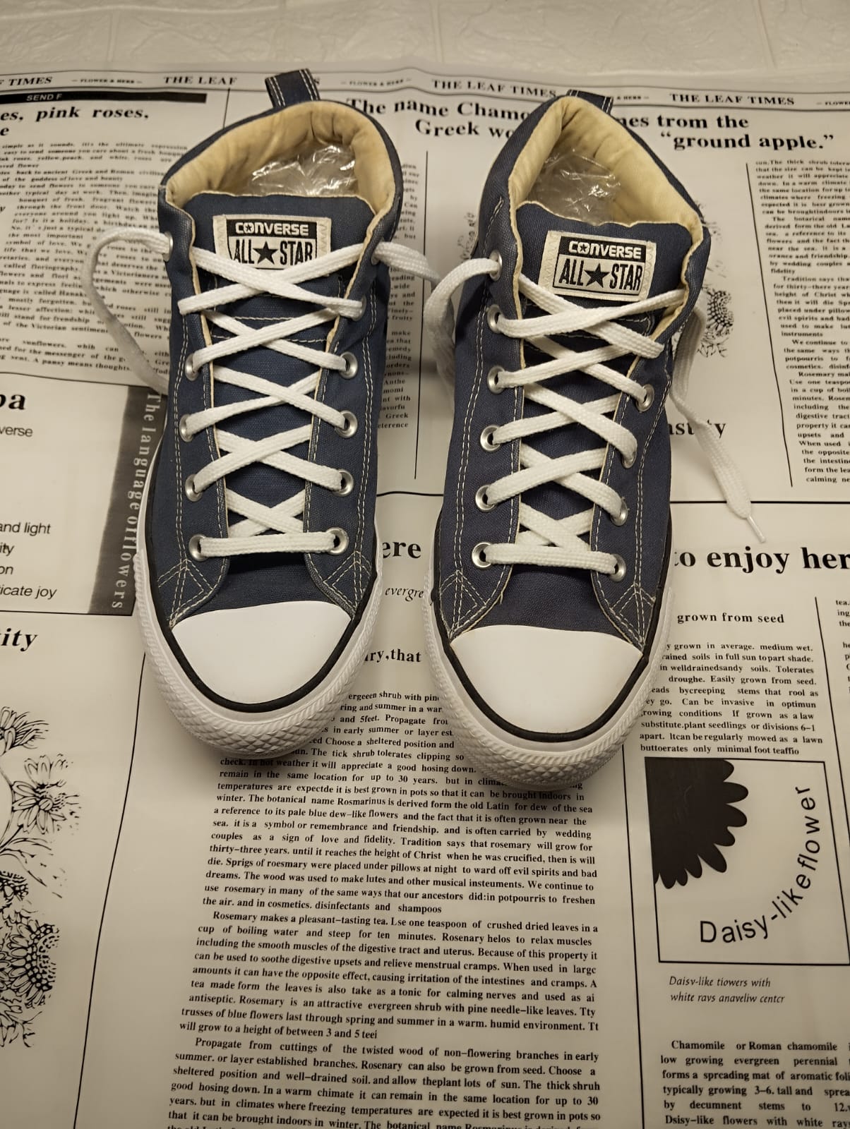 Navy blue ankle cut converse