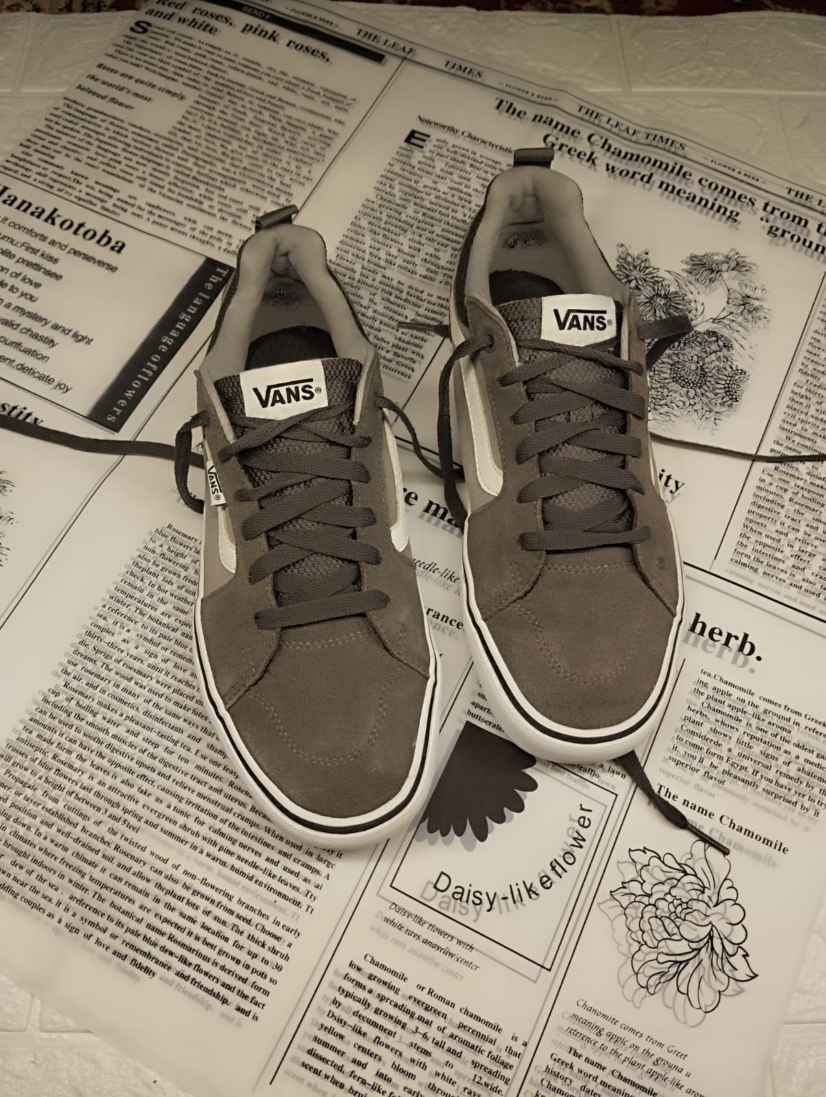 Grey low rise vans