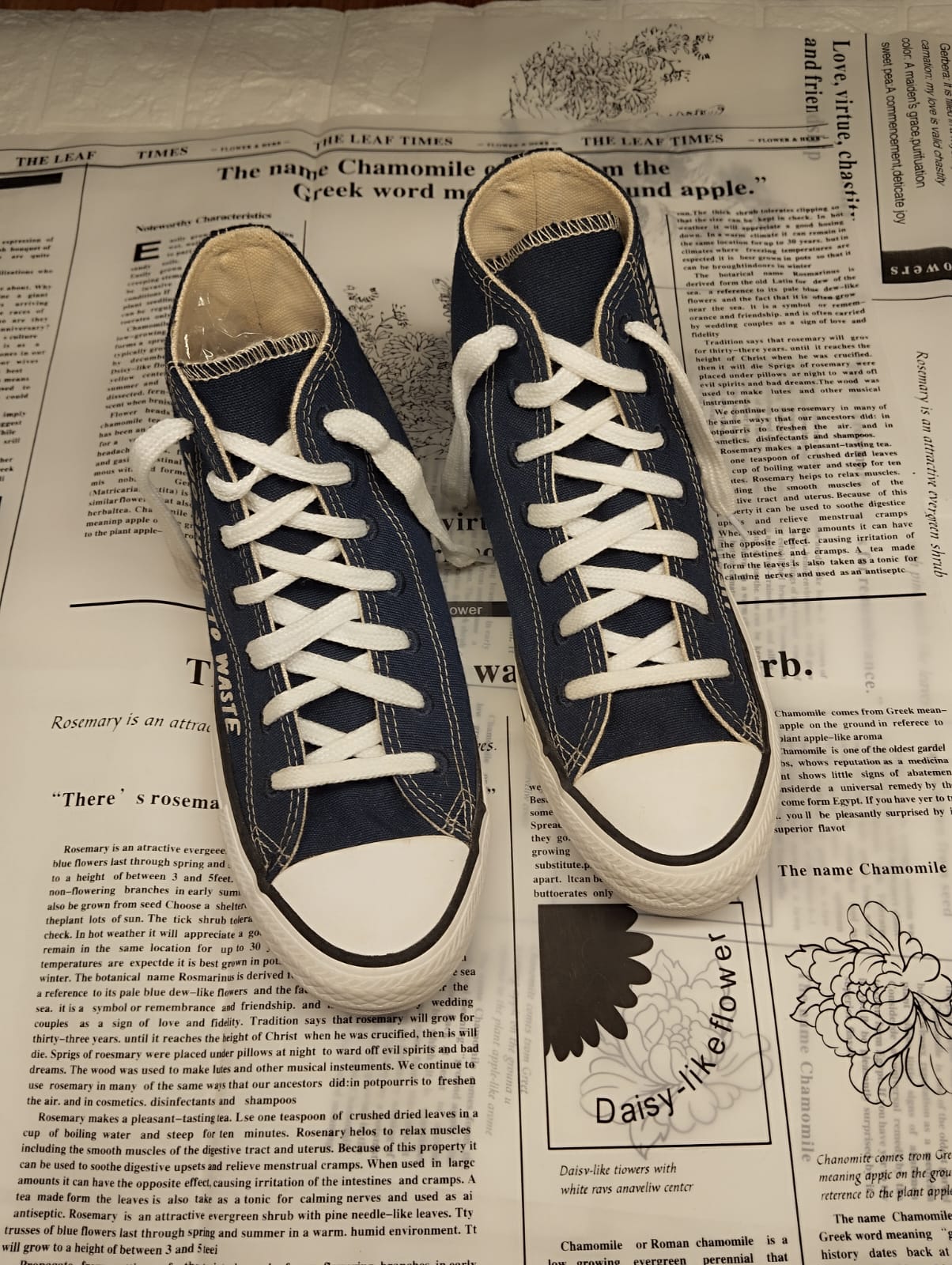 Navy blue writing high rise converse