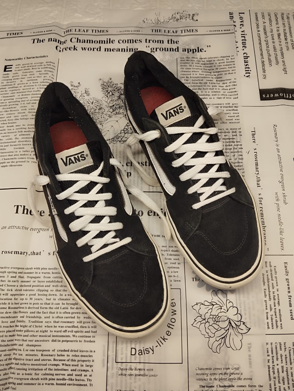 Black low rise vans