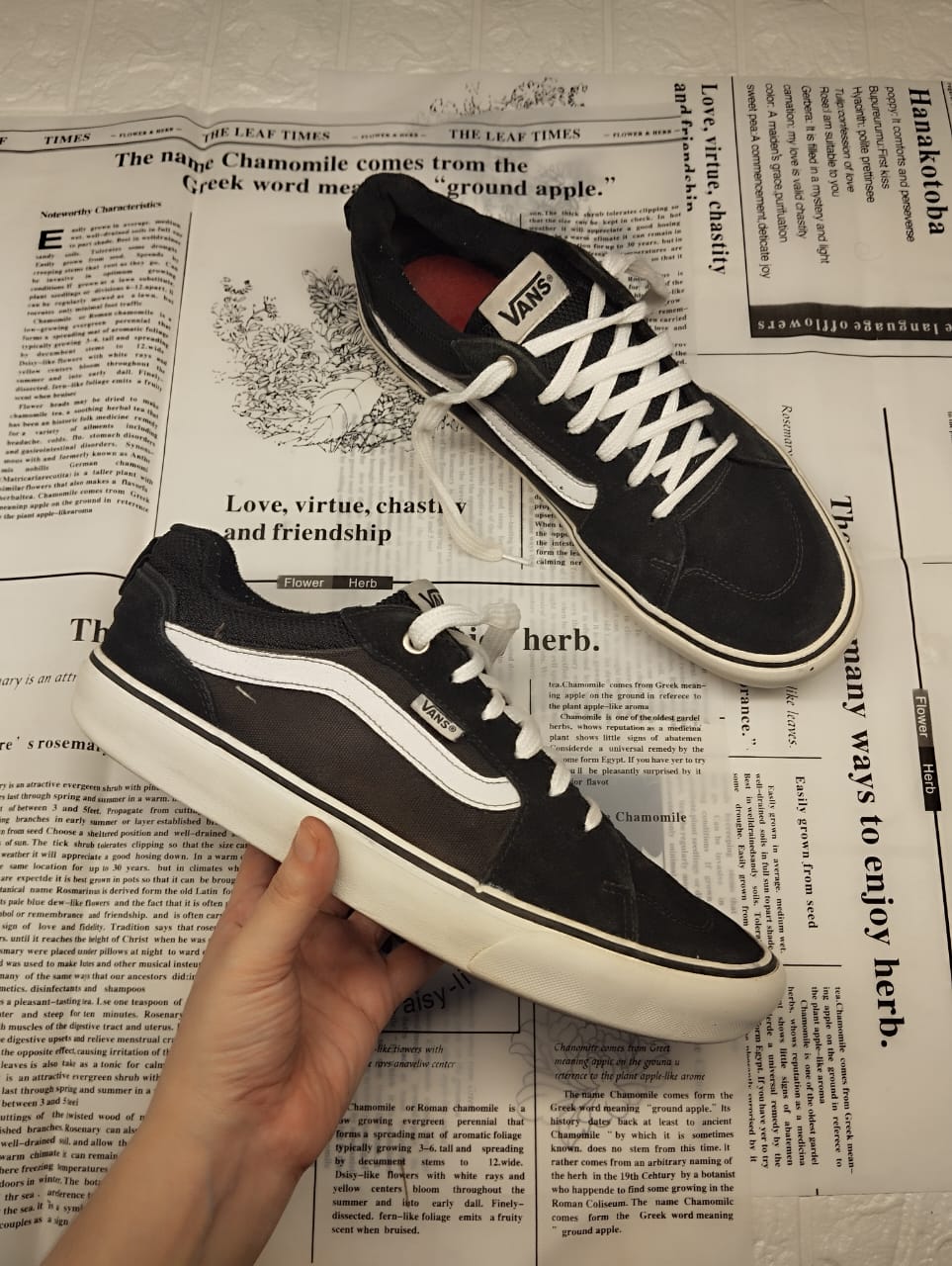 Black low rise vans