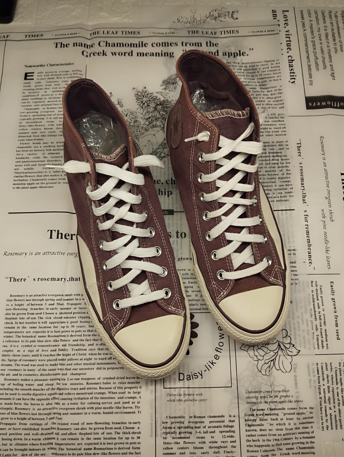 Maroon high rise taylor chuck