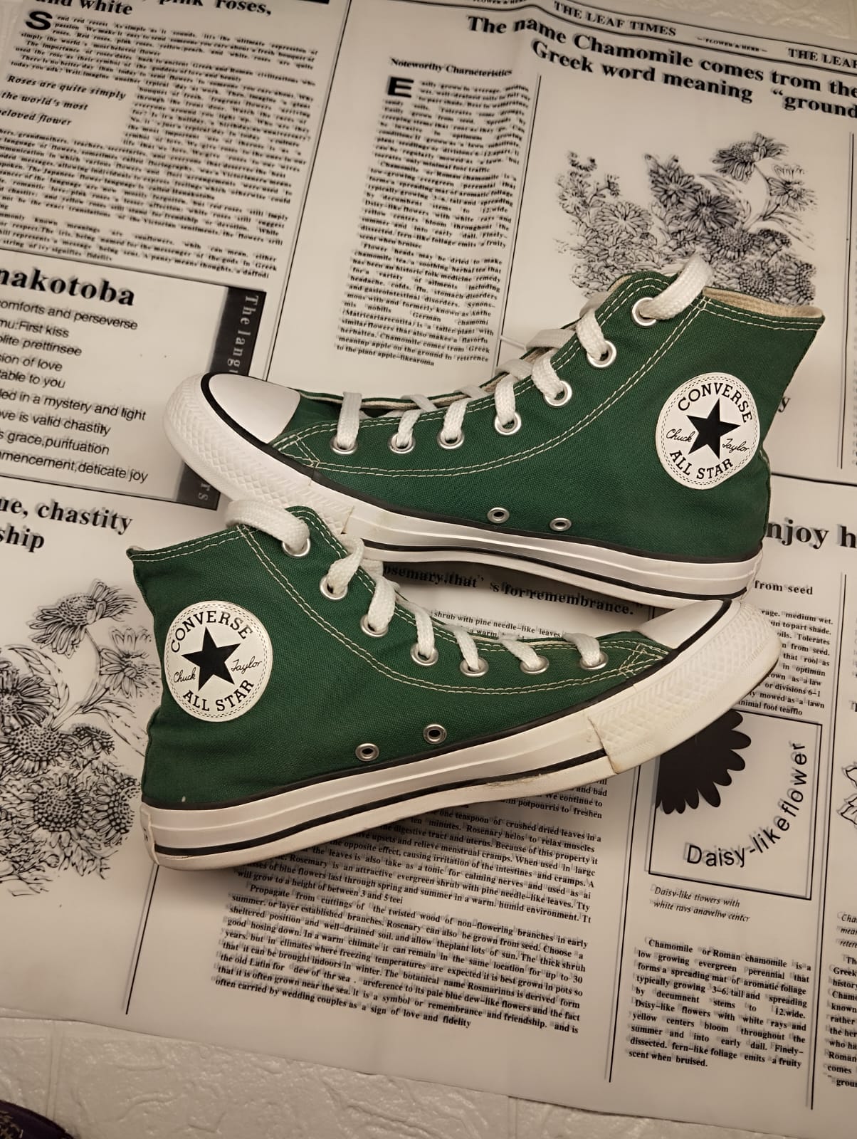 Green high rise converse