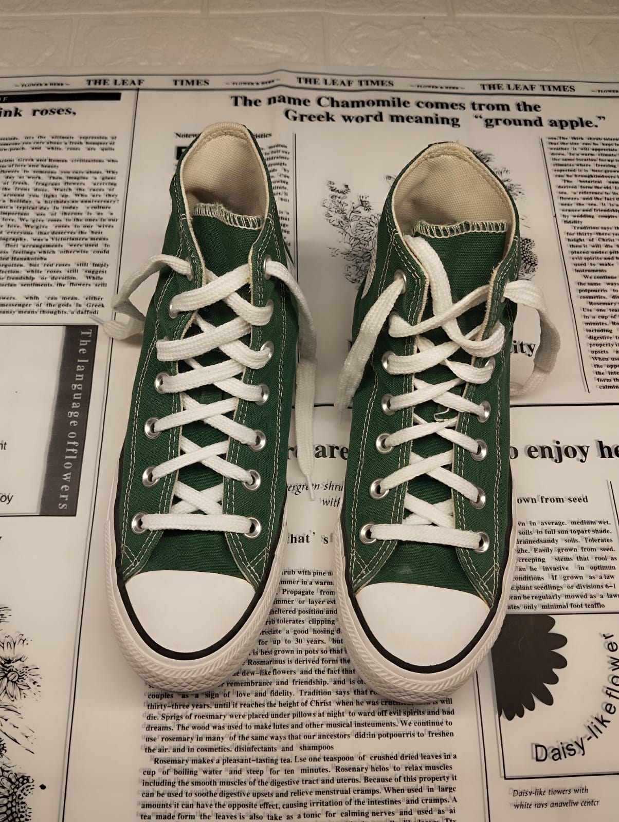 Green high rise converse