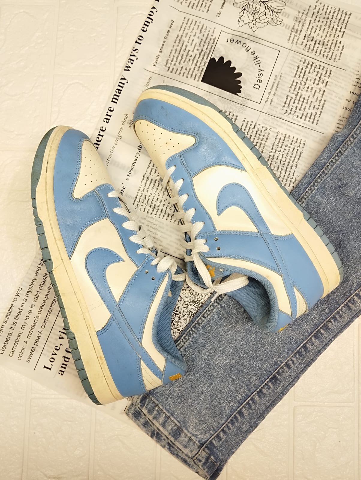 Nike Dunk Low "UNC"