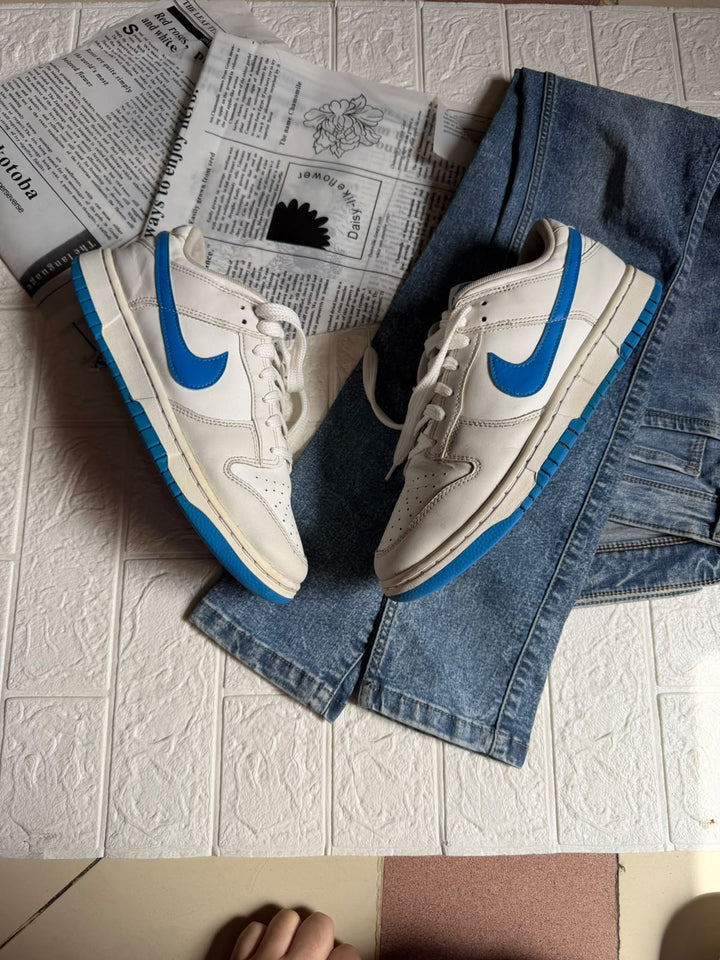 Nike Dunk low retro