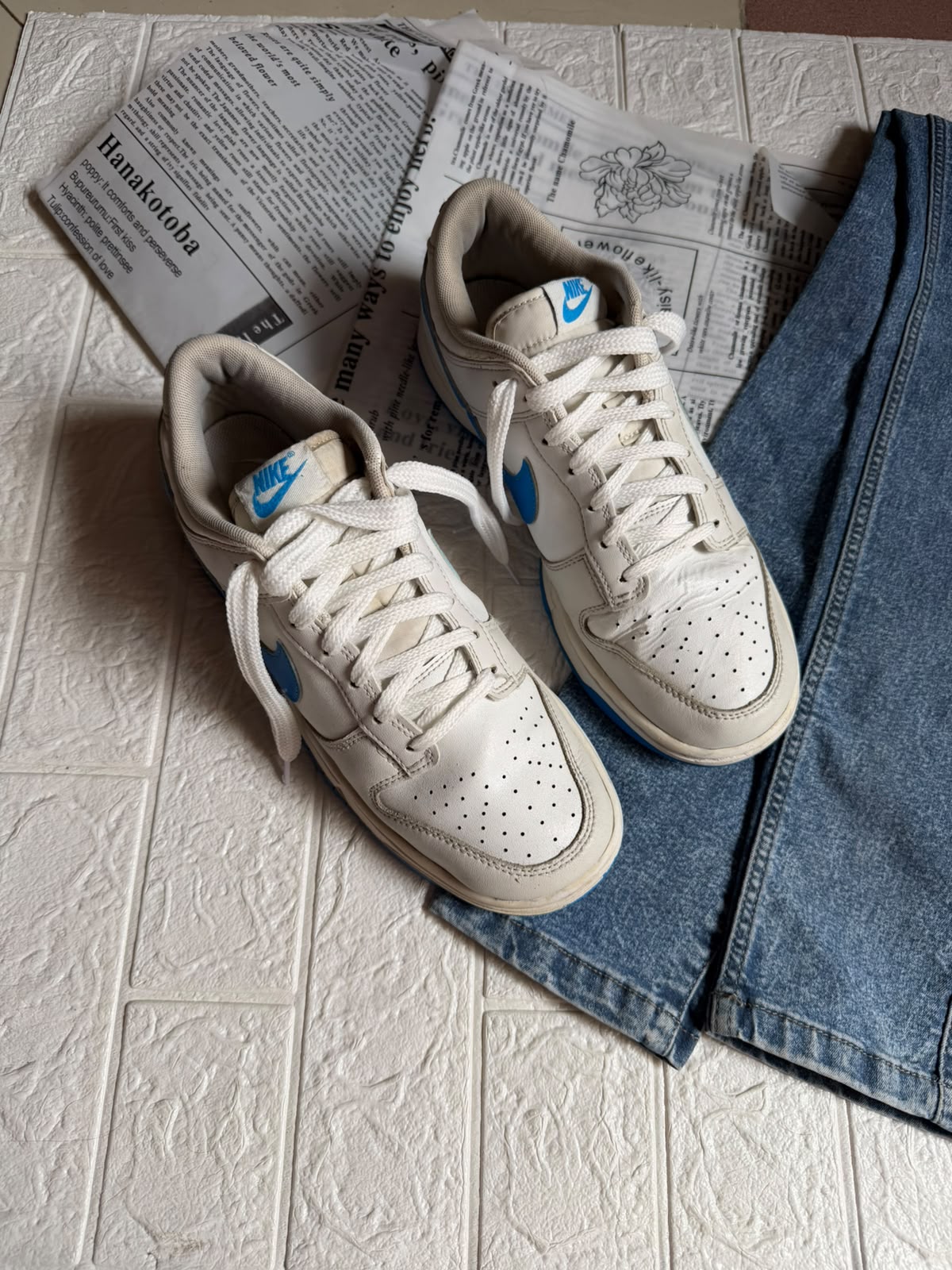 Nike Dunk low retro