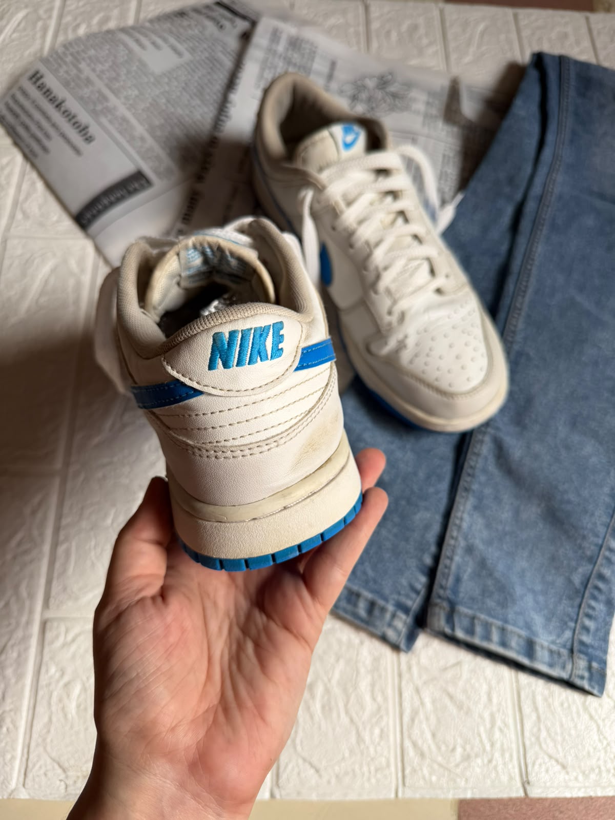 Nike Dunk low retro