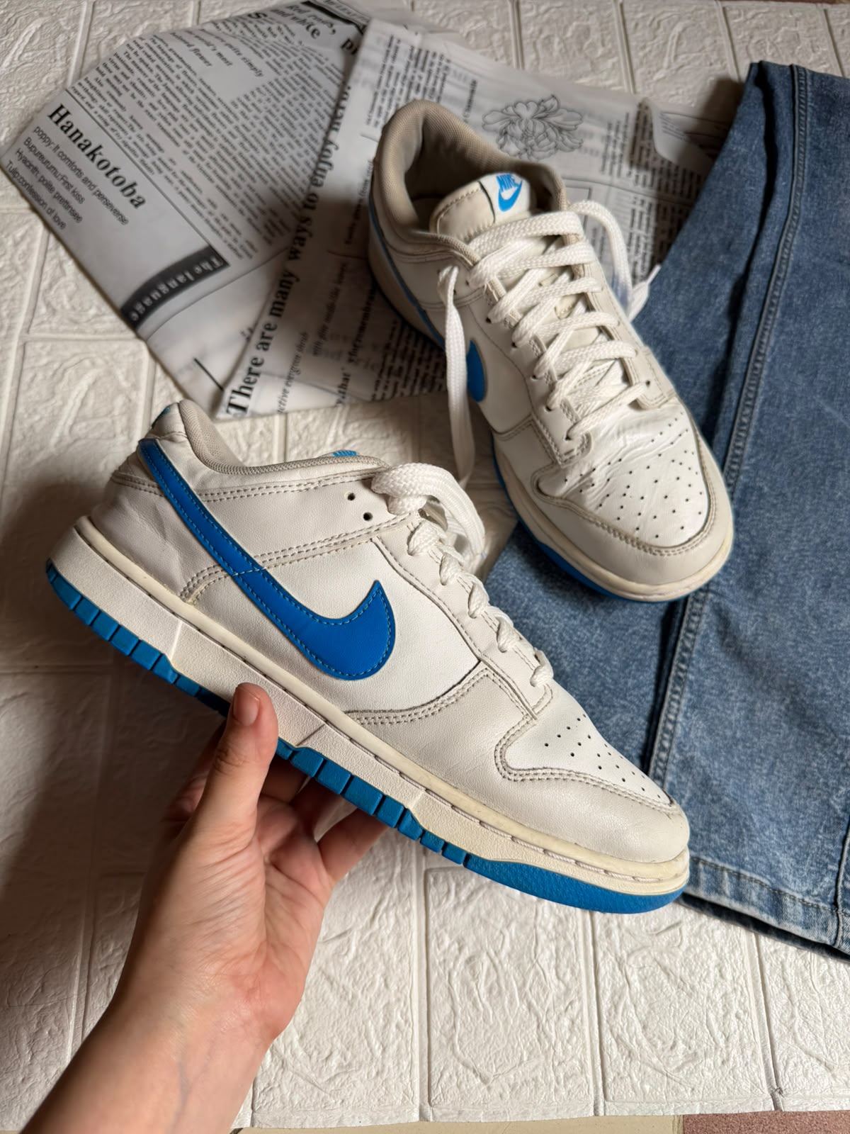 Nike Dunk low retro
